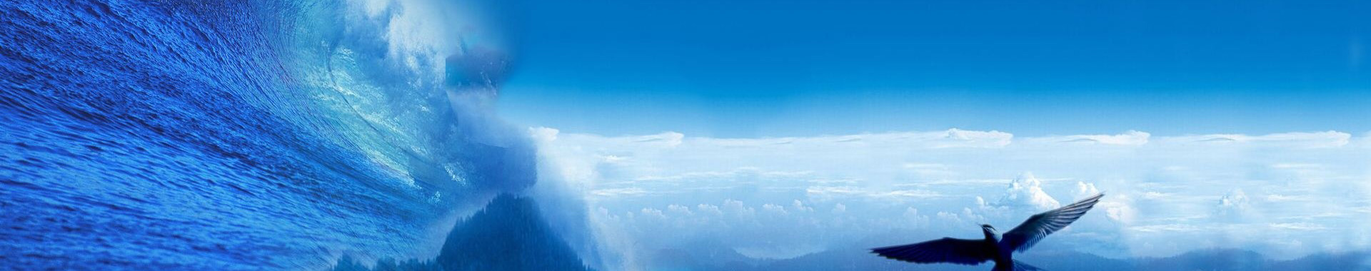 社會(huì)責(zé)任