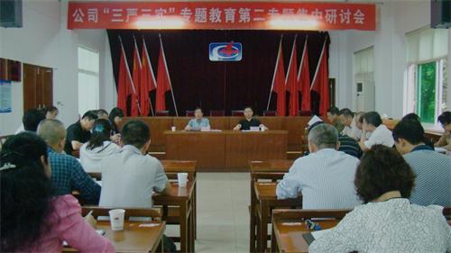公司召開(kāi)“三嚴(yán)三實(shí)”第二專(zhuān)題集中研討會(huì)