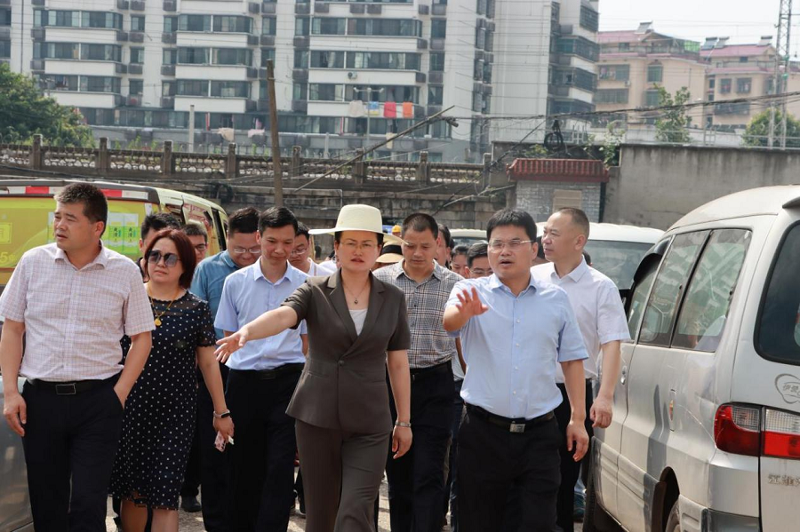 李美云、魏淑萍到岳陽中心城區污水治理項目調研