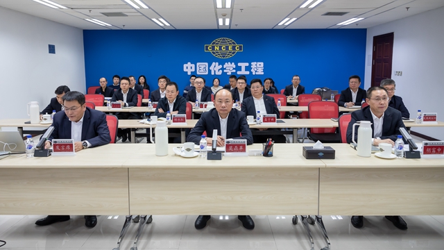 中國化學召開中央生態(tài)環(huán)境保護督察反饋問題整改部署會