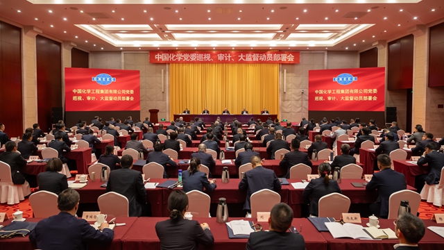 中國化學黨委召開巡視、審計、大監(jiān)督動員部署會